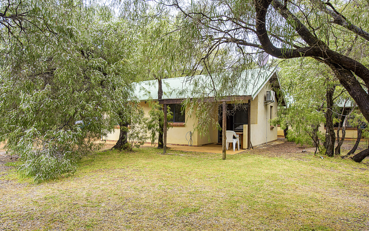 Pimelea - Wyadup Brook Cottages