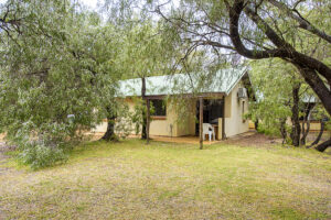 Pimelea - Wyadup Brook Cottages